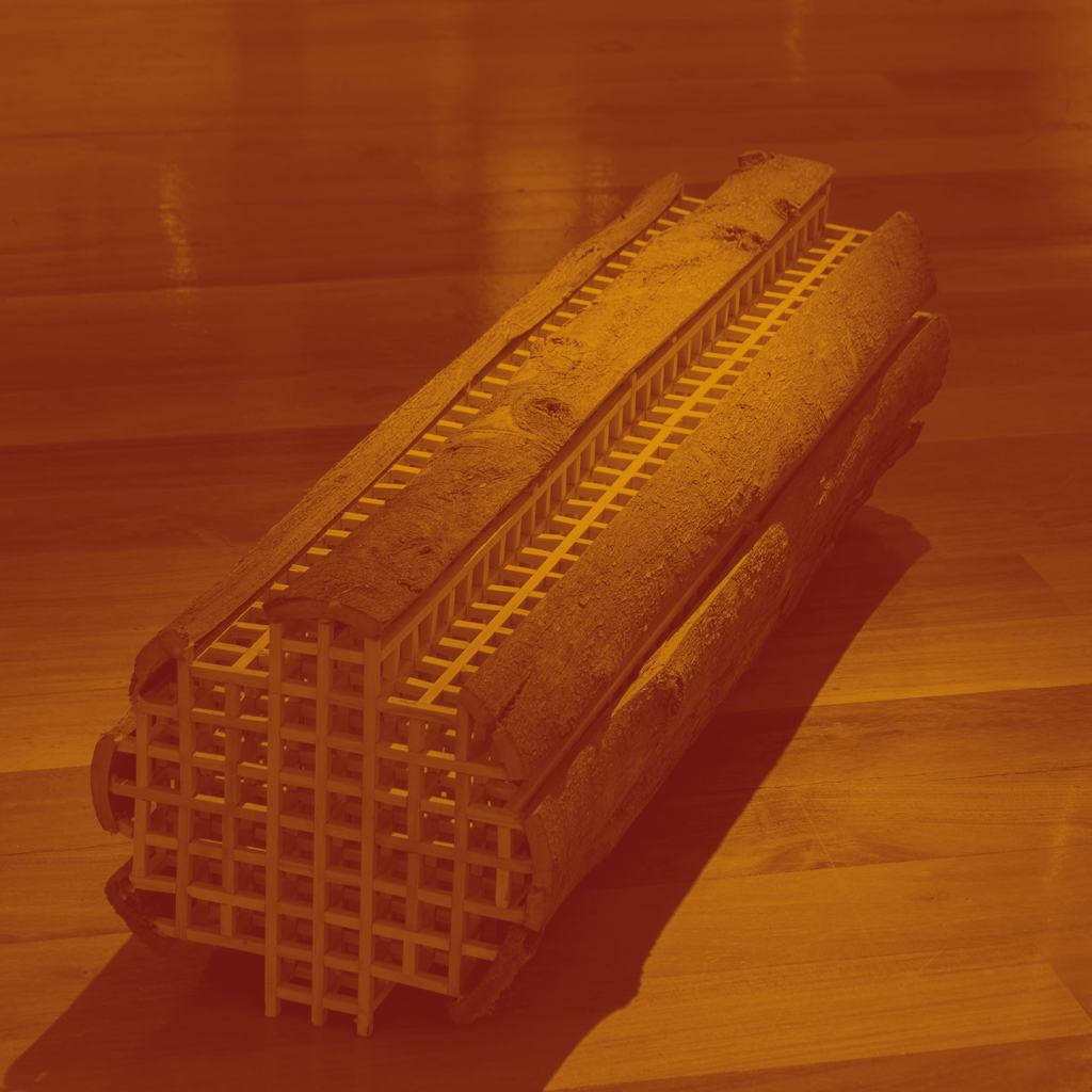 Rodrigo Arteaga: “El arte para mí tiene la posibilidad de pensar de manera colectiva algo antes de que sea totalmente&nbsp;dicho”