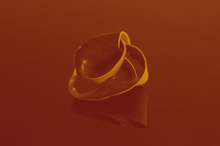 El Ka viene conmigo de Paula Lavanderos