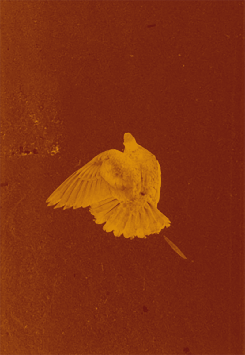 Galería rectángulo de&nbsp;plata