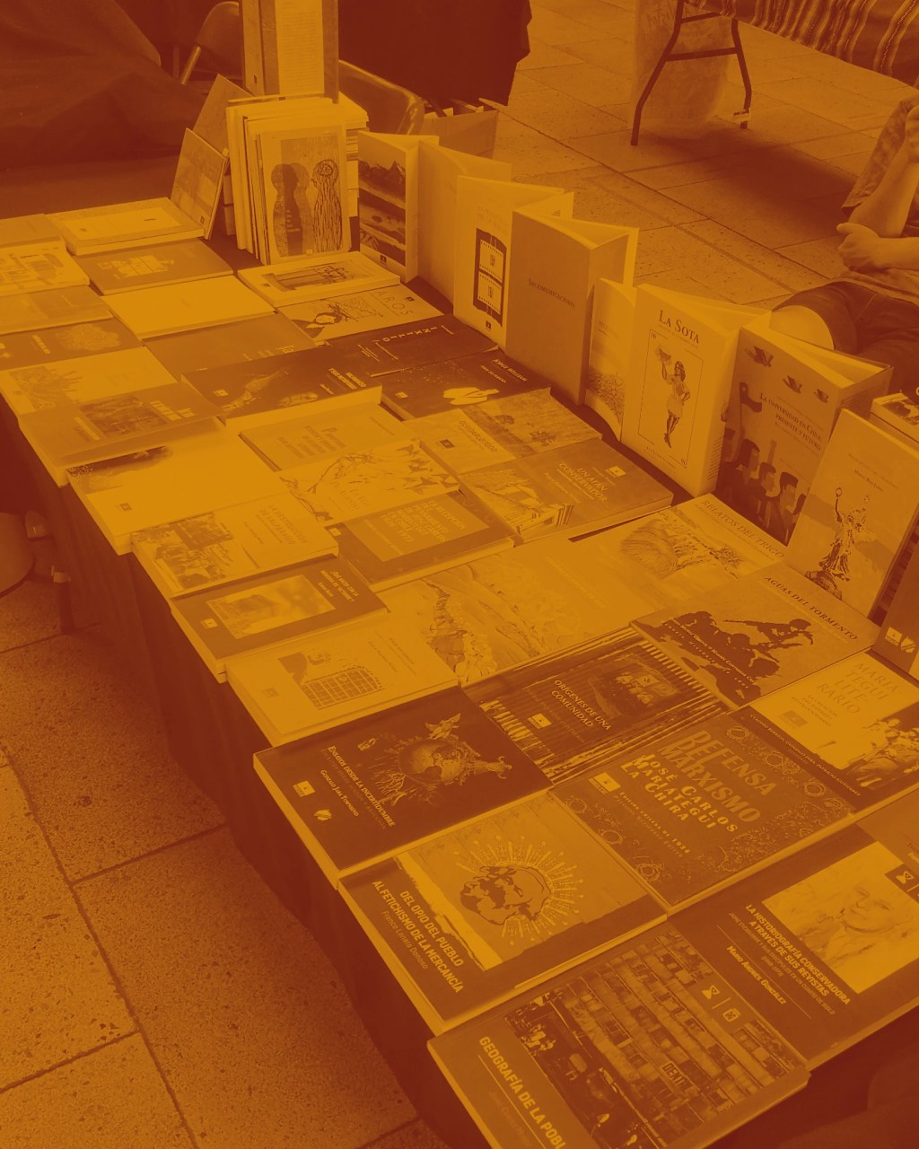 Rodrigo Arroyo Castro: “Inubicalistas privilegia lo que no está necesariamente en el lugar del canon literario o las&nbsp;ventas”